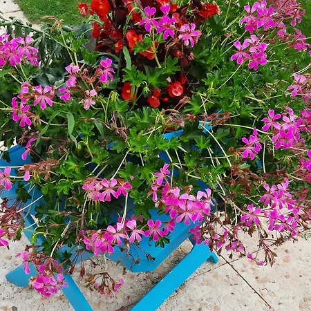 住宿加早餐酒店 Les Bosquets D Hotes 3*